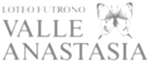 Loteo Futrono Valle Anastasia